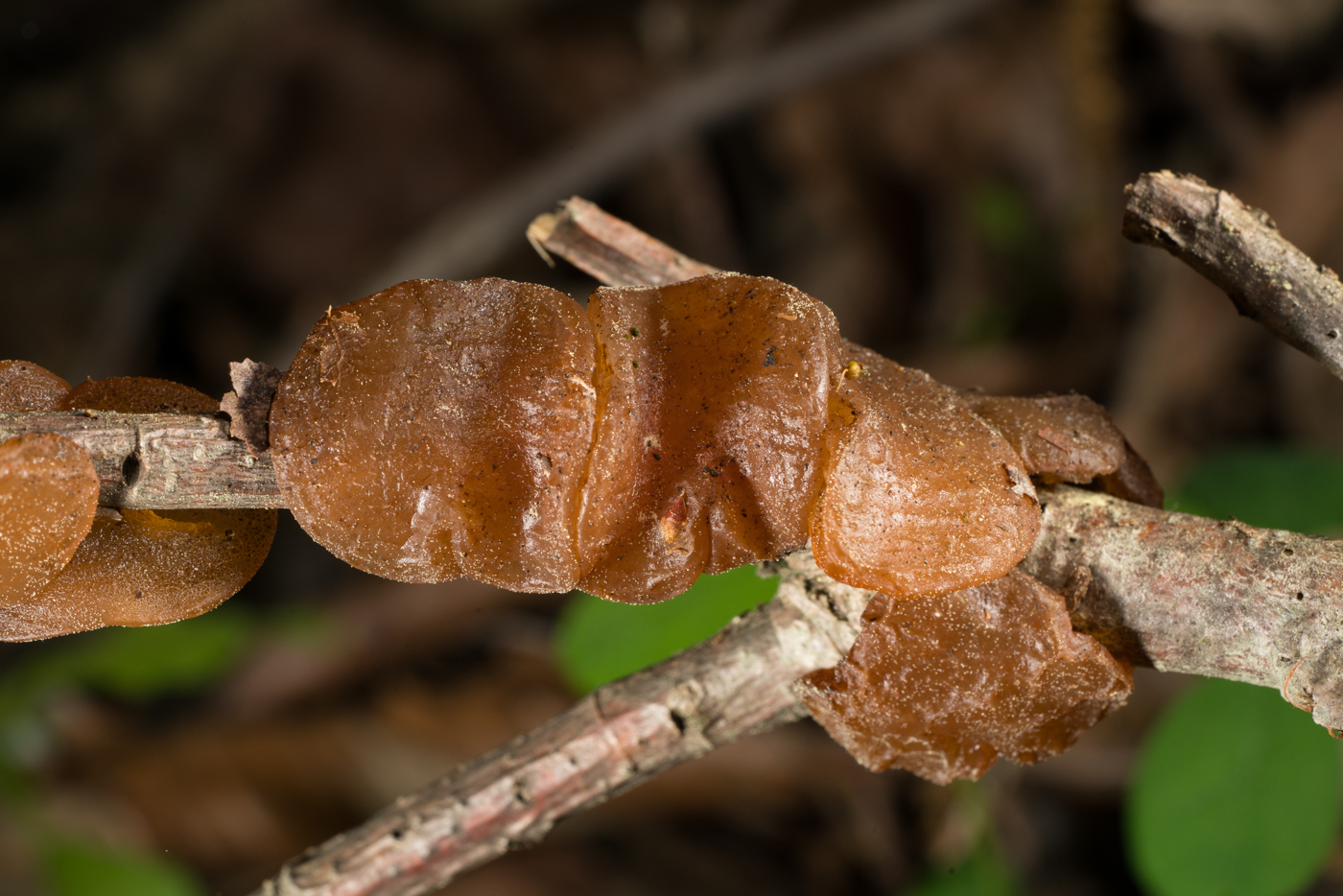 YDY07221.jpg