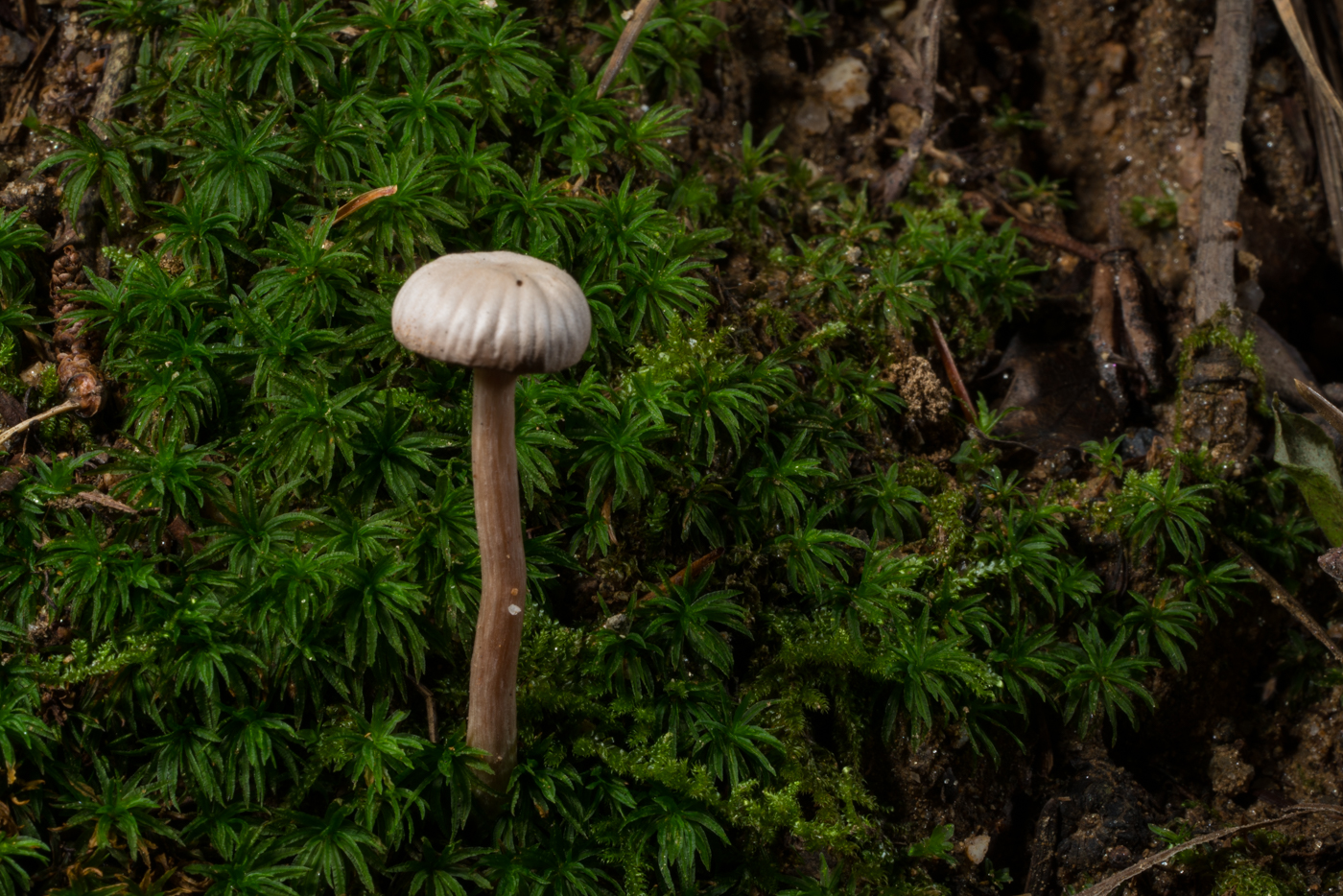 YDY04806.jpg