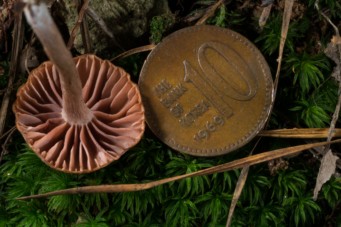 YDY04821.jpg