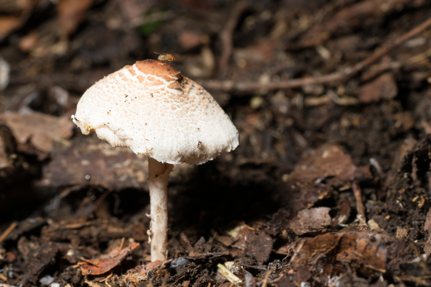 YDY02889.jpg