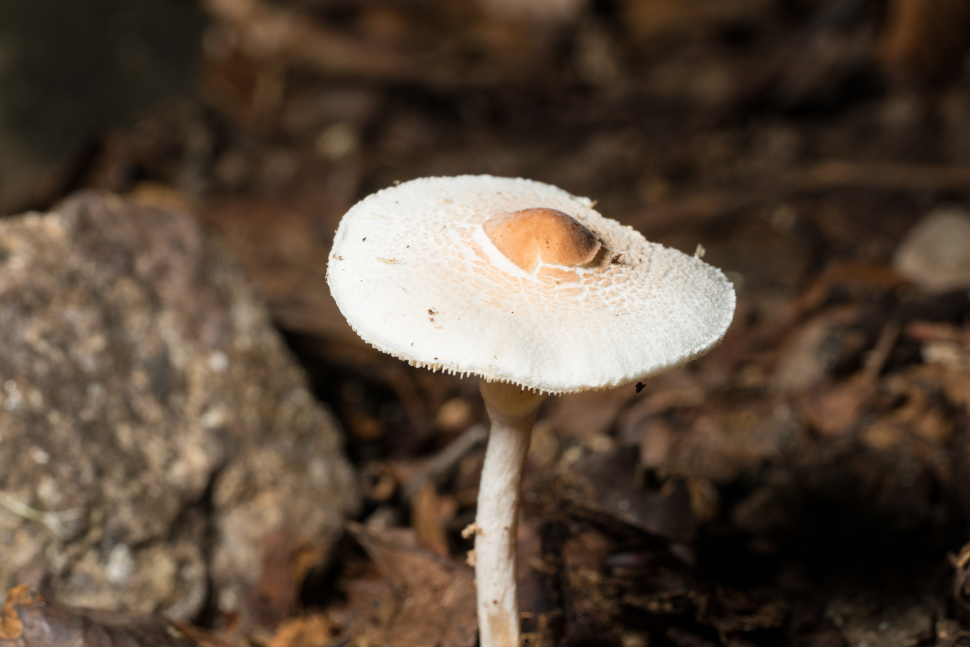 YDY02885.jpg