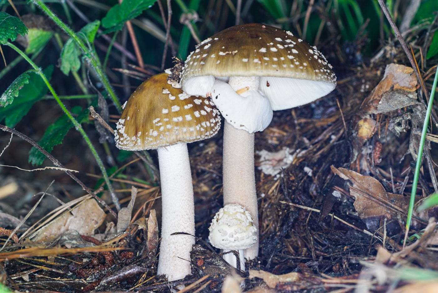 이미지0401.jpg