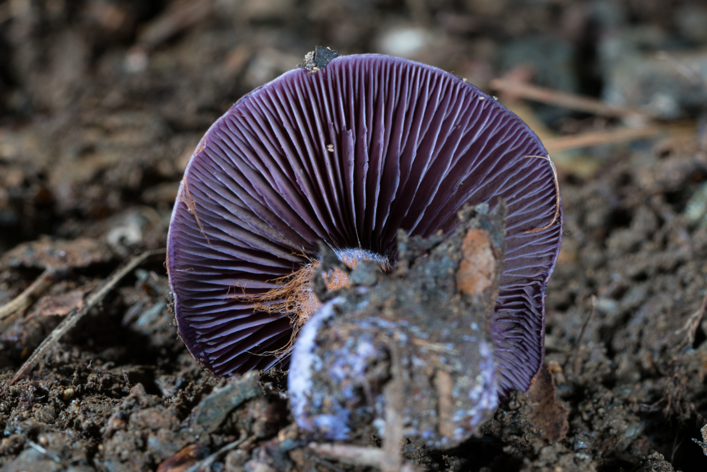 YDY05551.jpg