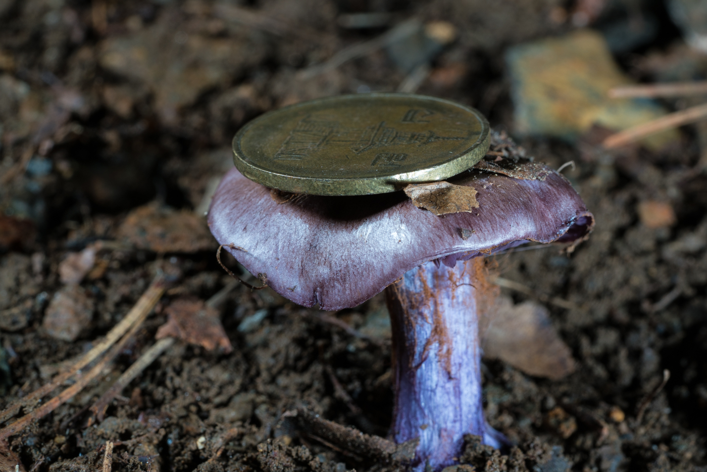 YDY05542.jpg