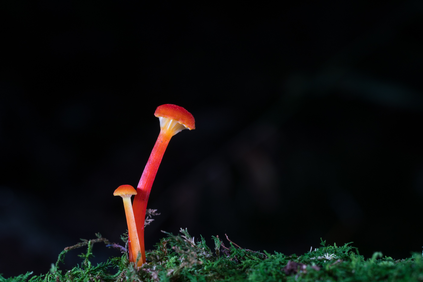 YDY05938.jpg