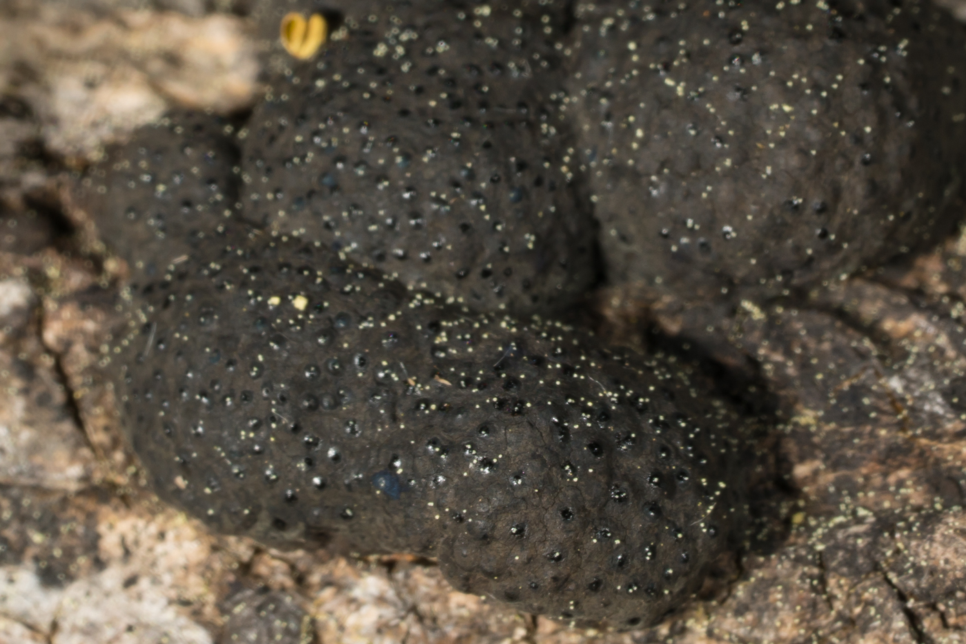 YDY07229-2.jpg