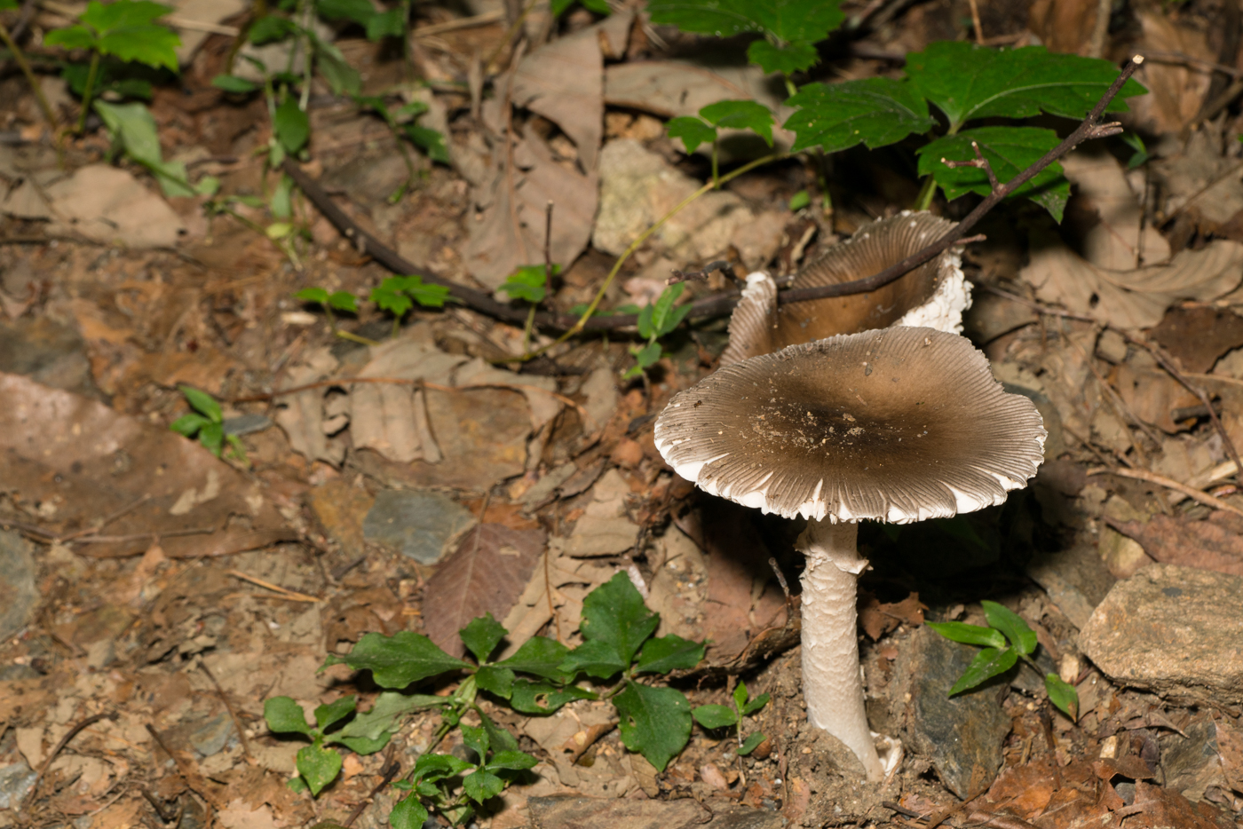 YDY09003.jpg