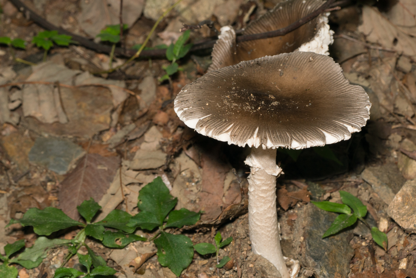 YDY09002.jpg