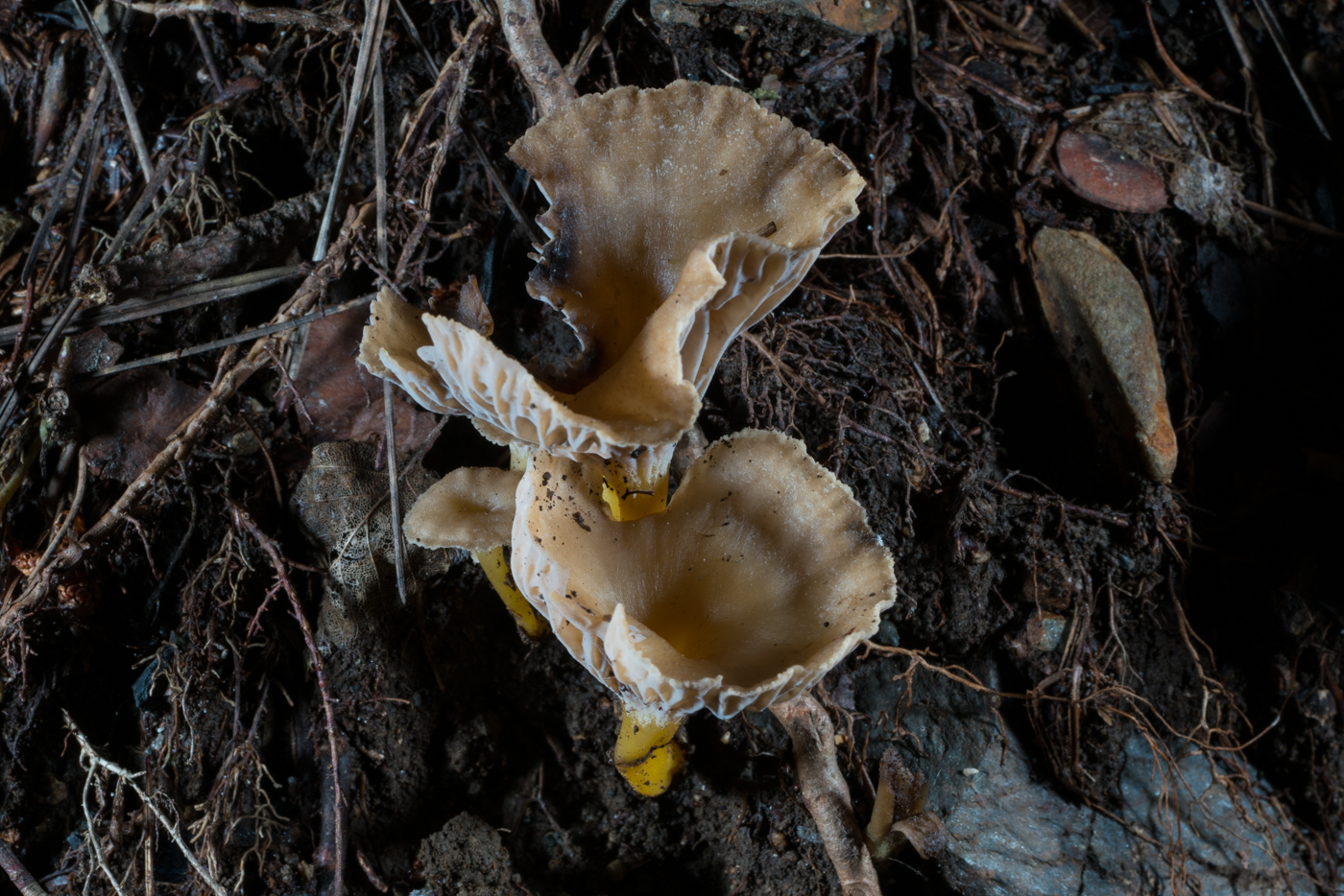 YDY05521.jpg