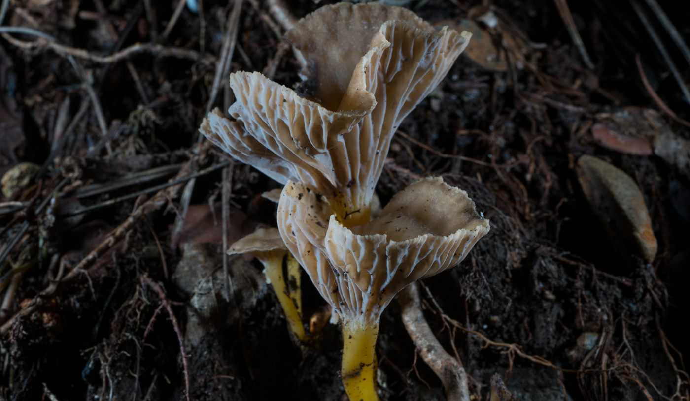 YDY05519.jpg