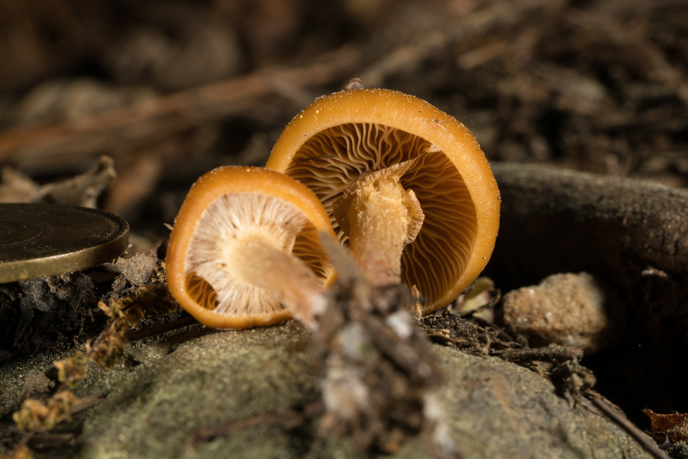 YDY07338.jpg