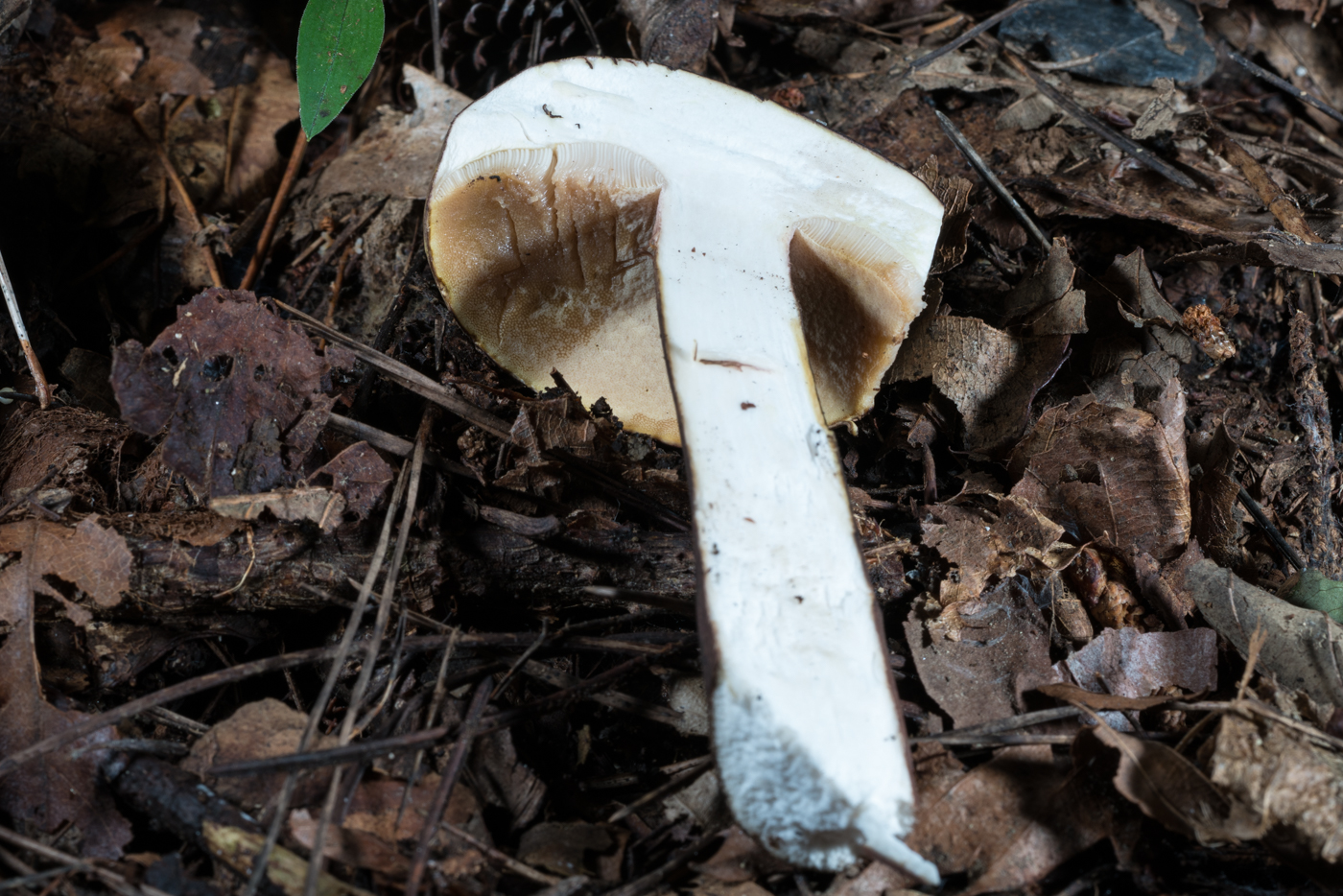 YDY05537.jpg