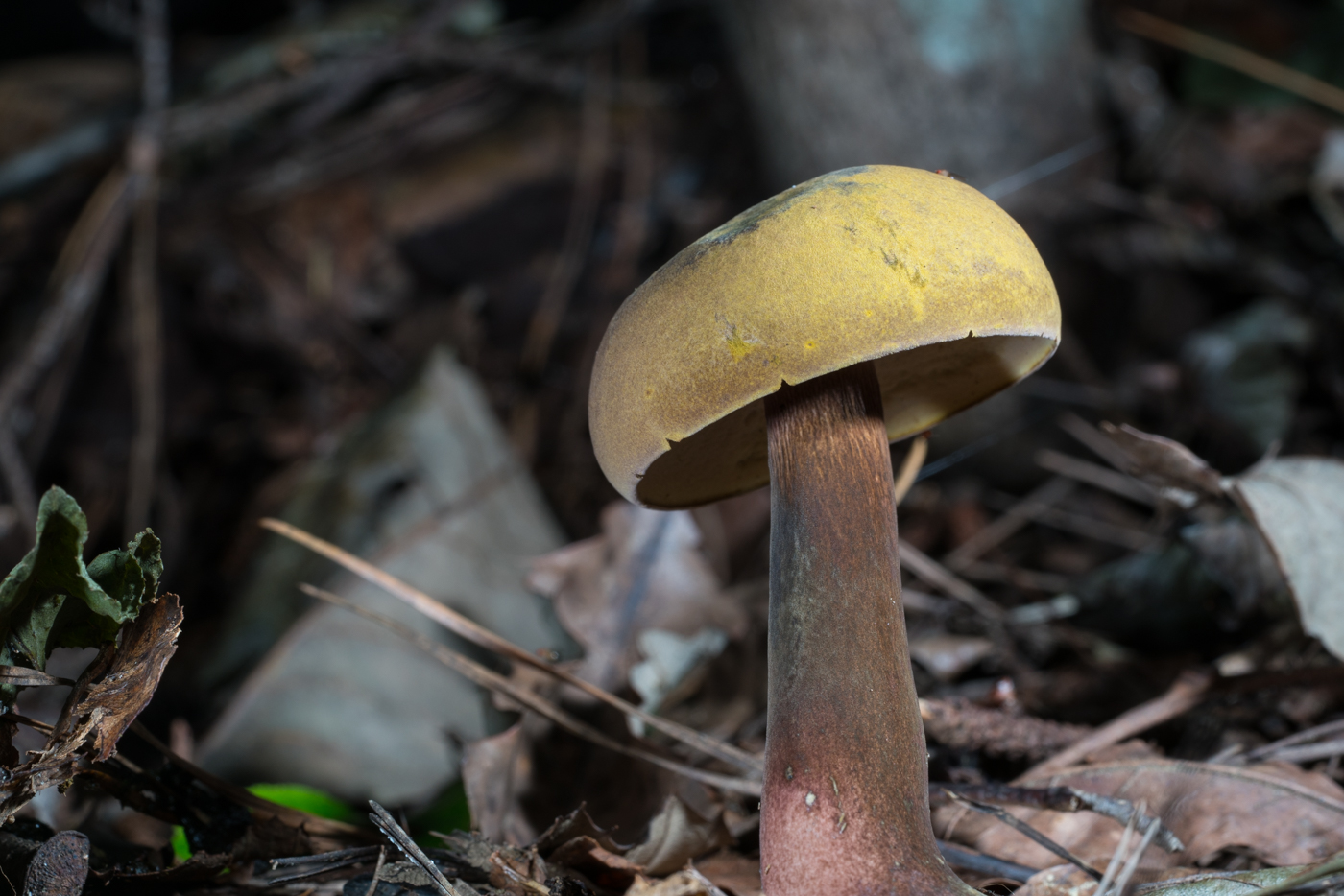 YDY05533.jpg