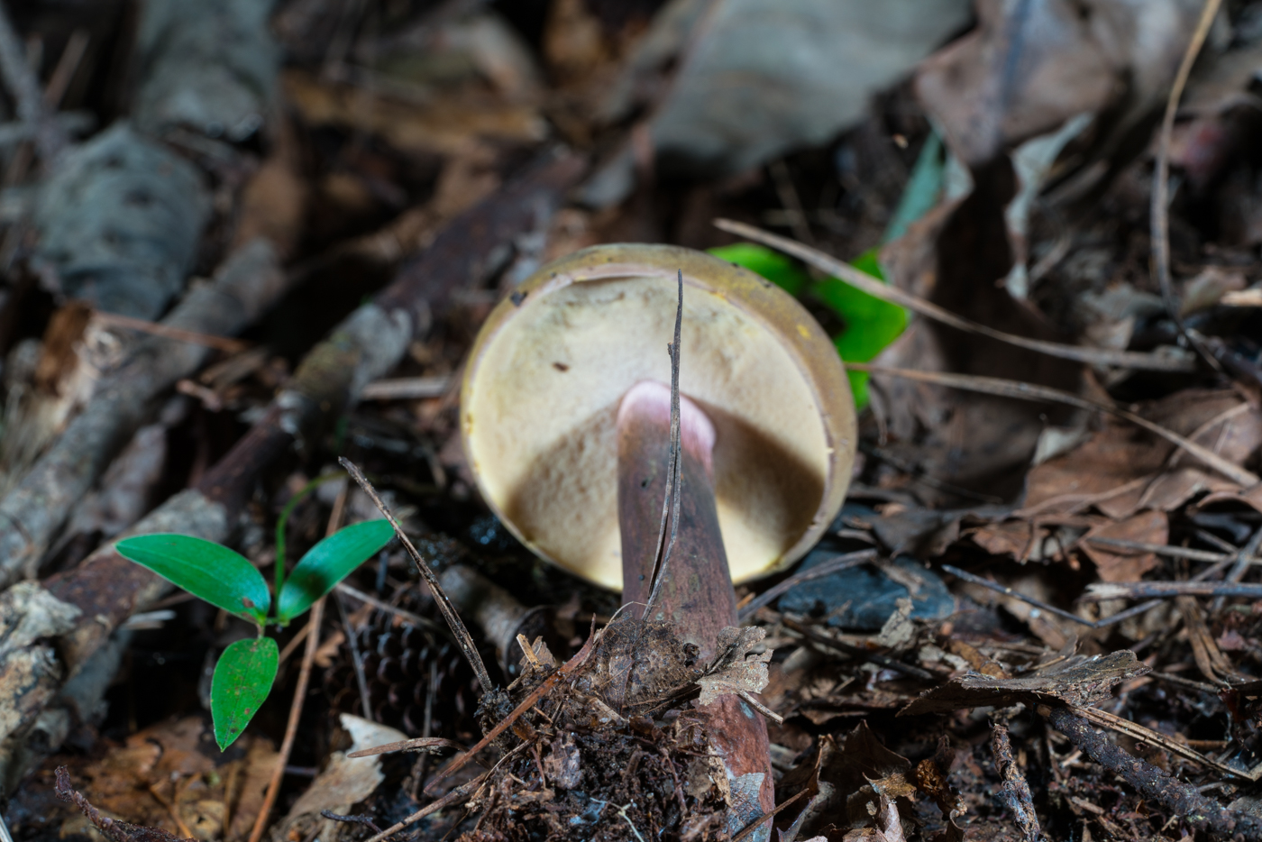 YDY05535.jpg
