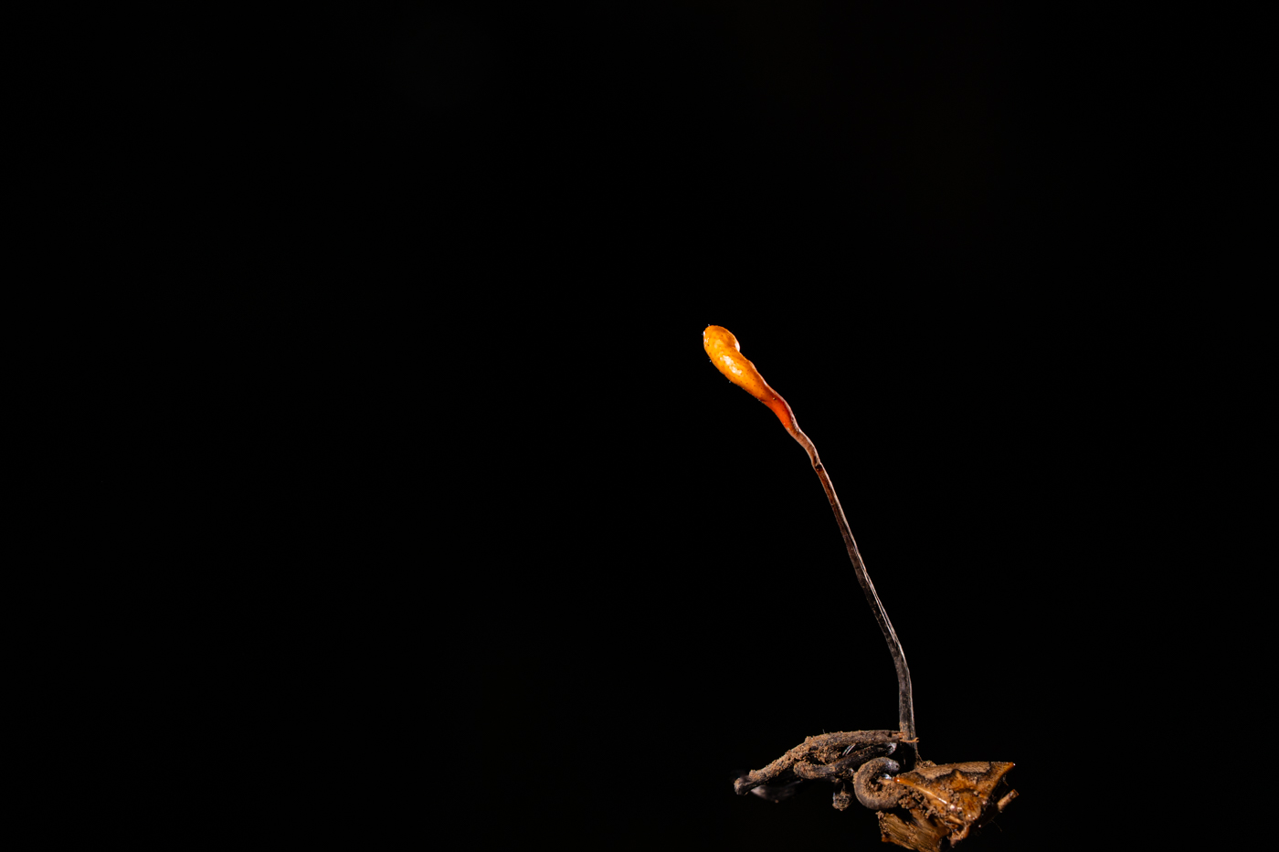 A9300353.jpg
