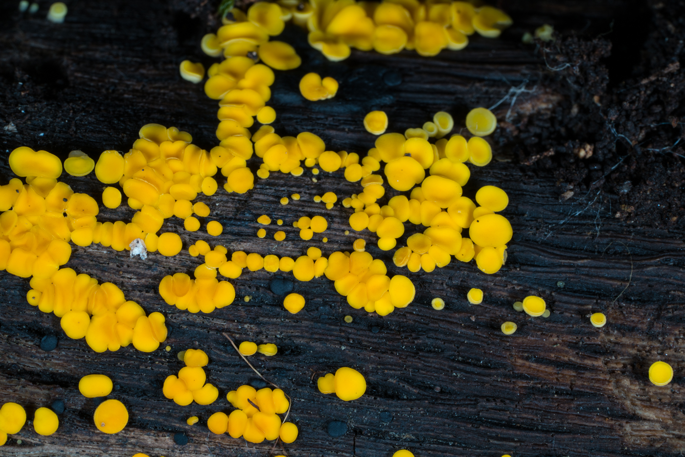 YDY06627.jpg