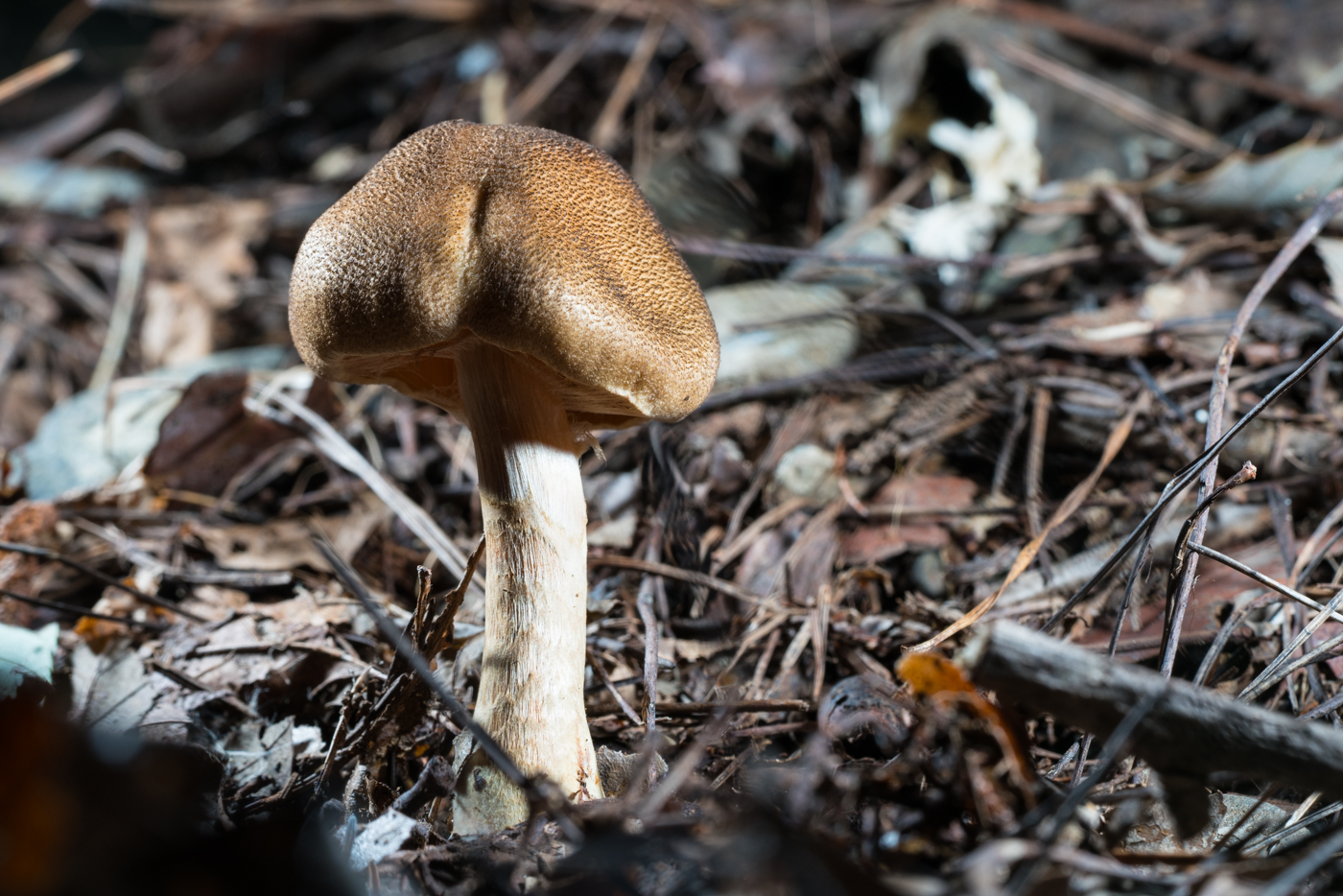YDY05554.jpg