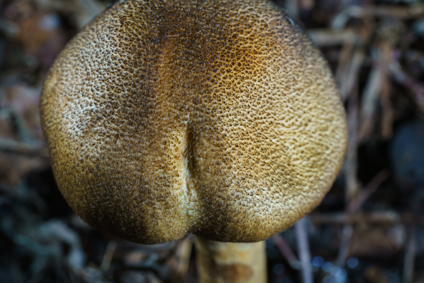 YDY05558.jpg