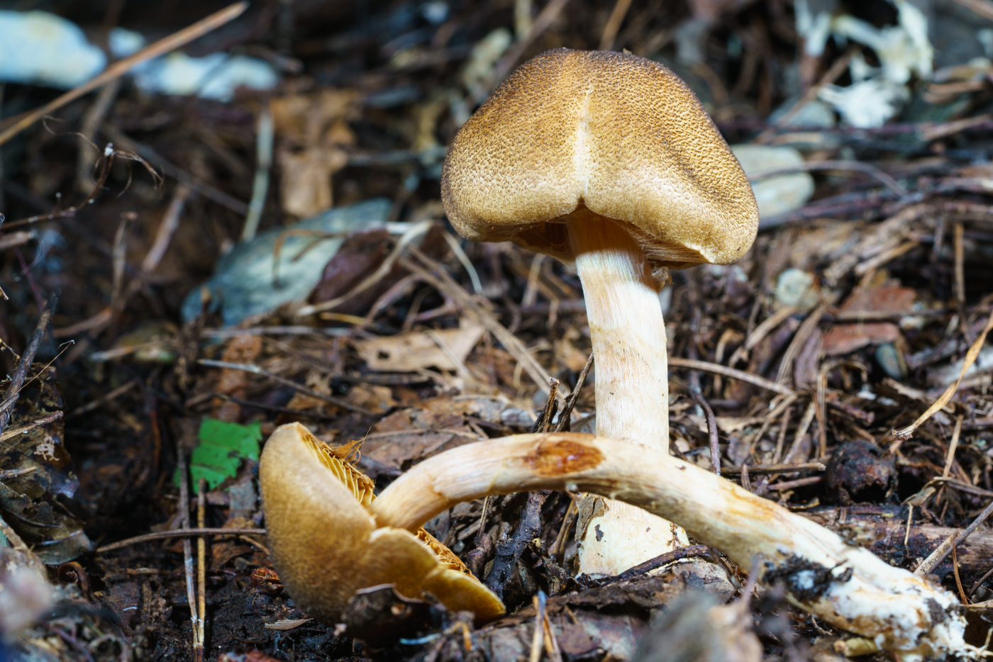 YDY05565.jpg