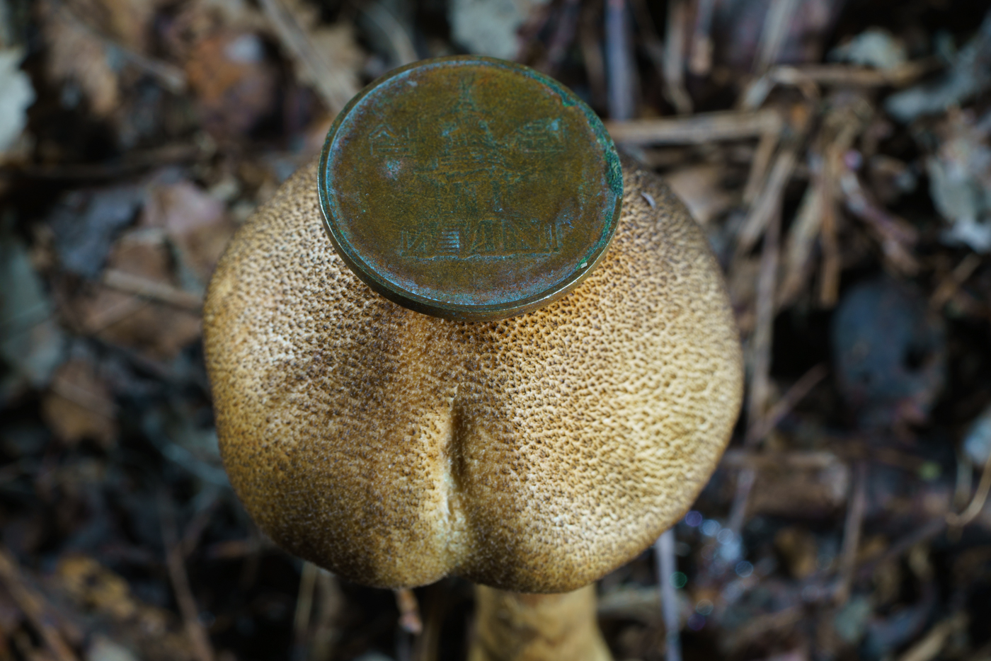 YDY05560.jpg