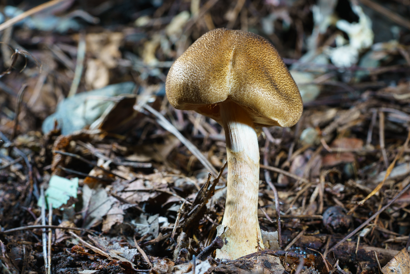 YDY05557.jpg