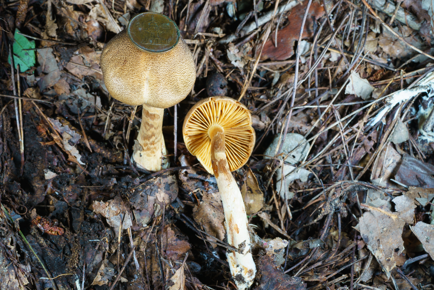 YDY05562.jpg