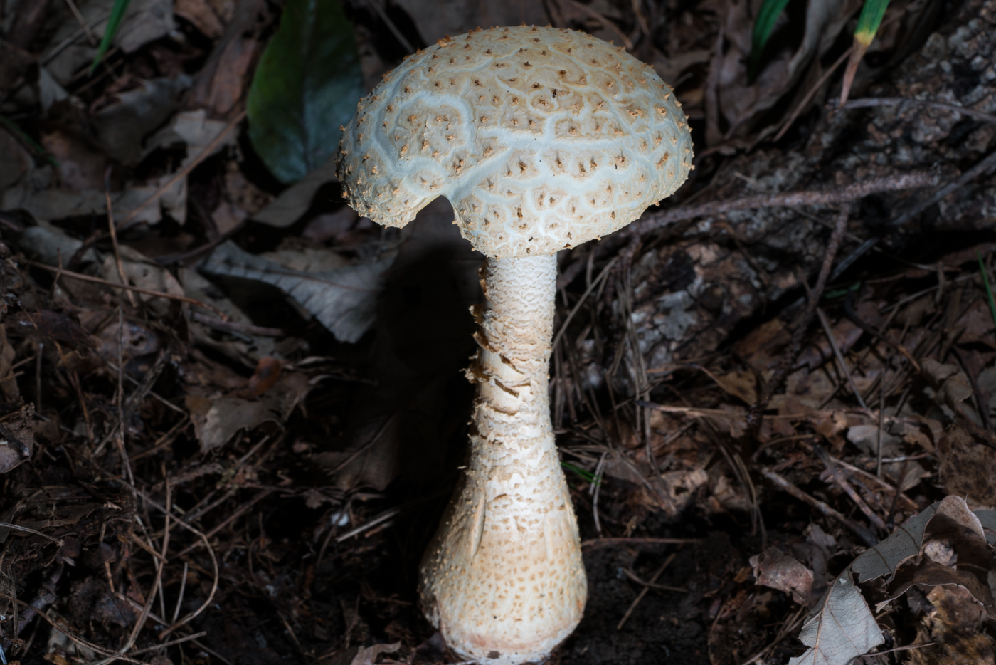 YDY05608.jpg