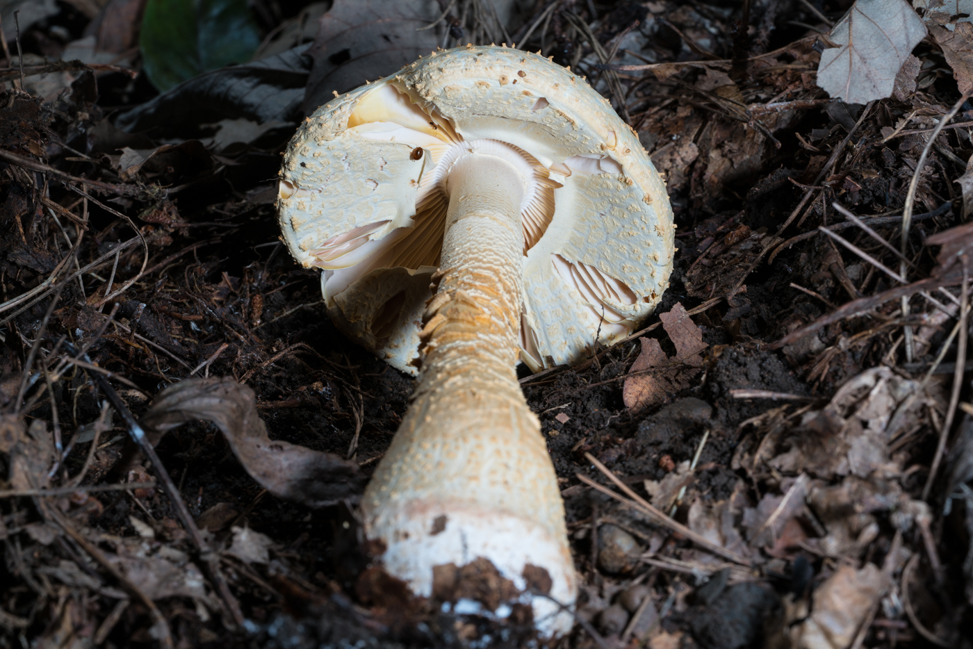 YDY05604.jpg