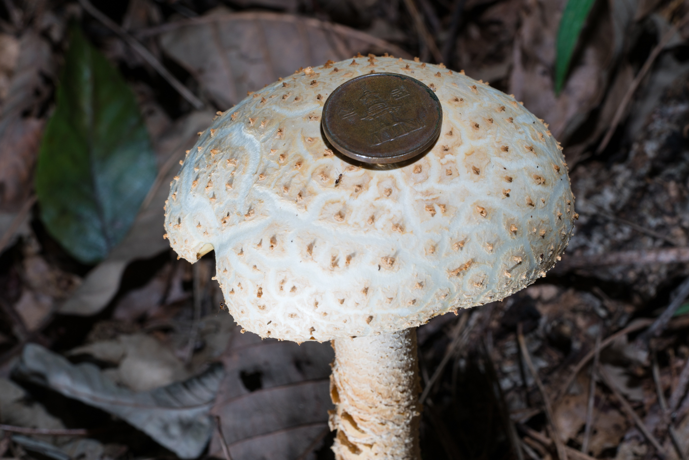 YDY05599.jpg