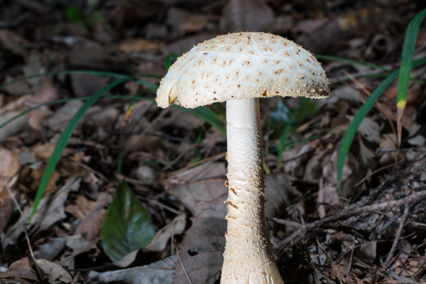 YDY05595.jpg