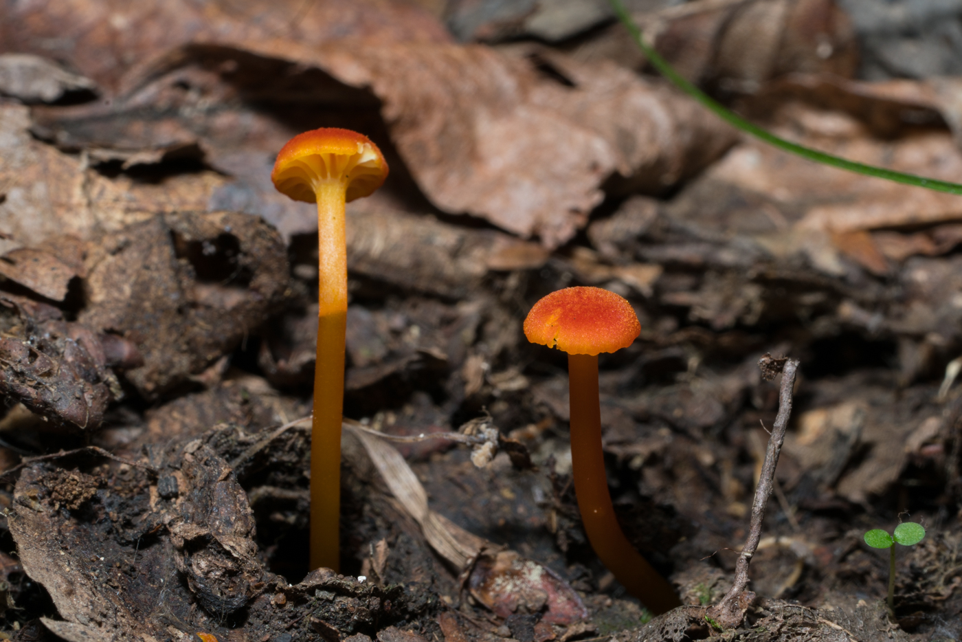 YDY02996.jpg