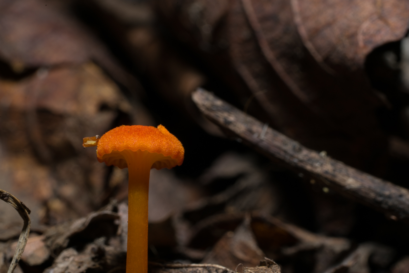 YDY03003.jpg
