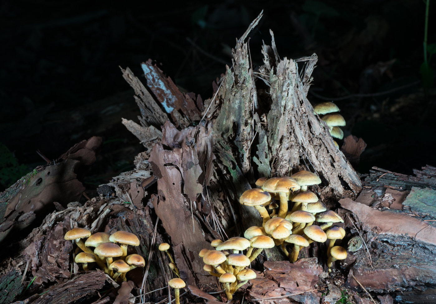 YDY05590.jpg