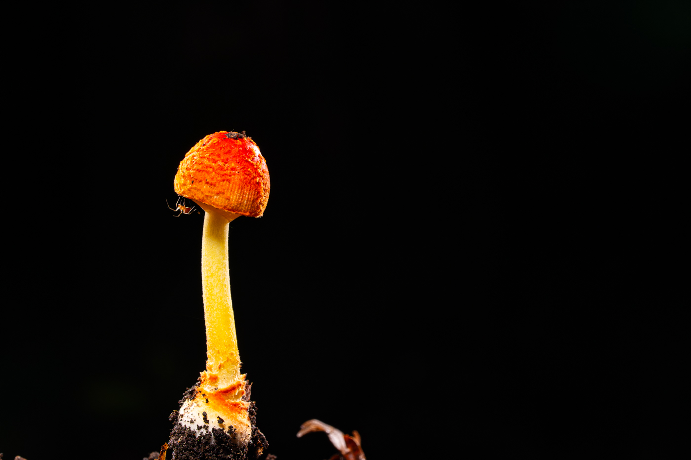 A9300439.jpg