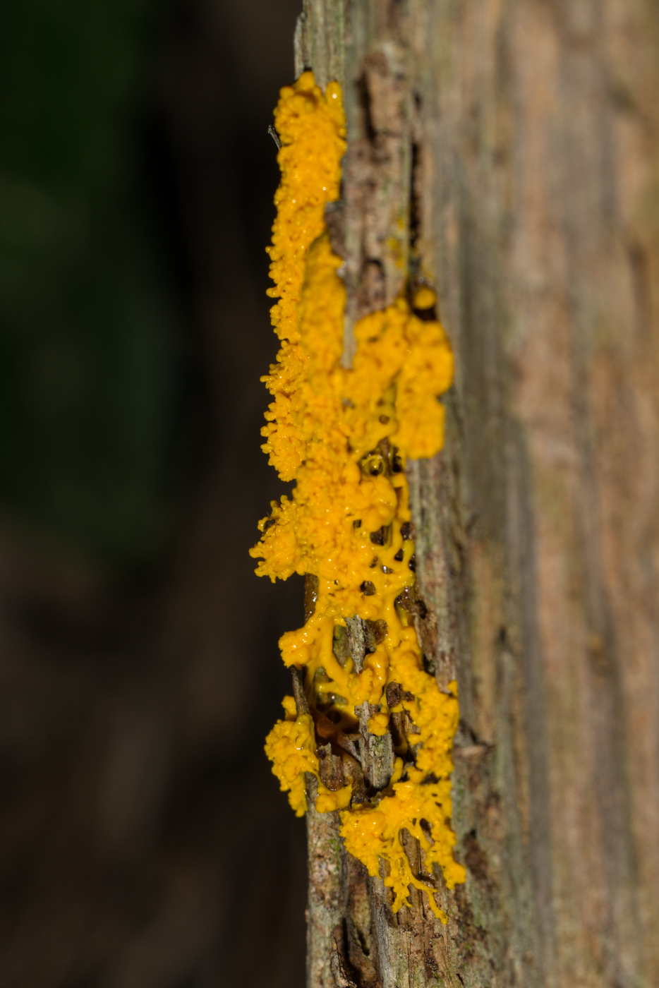 DSC03120.jpg