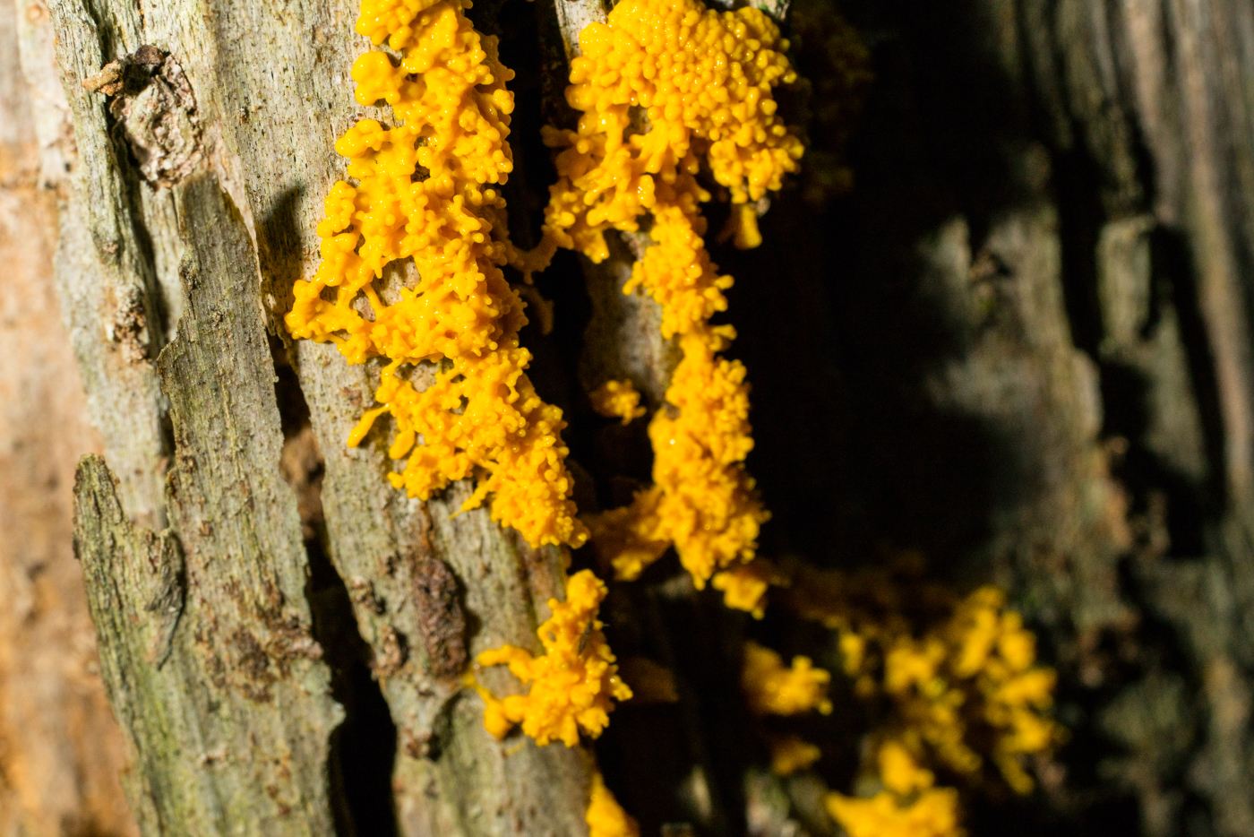 DSC03122.jpg