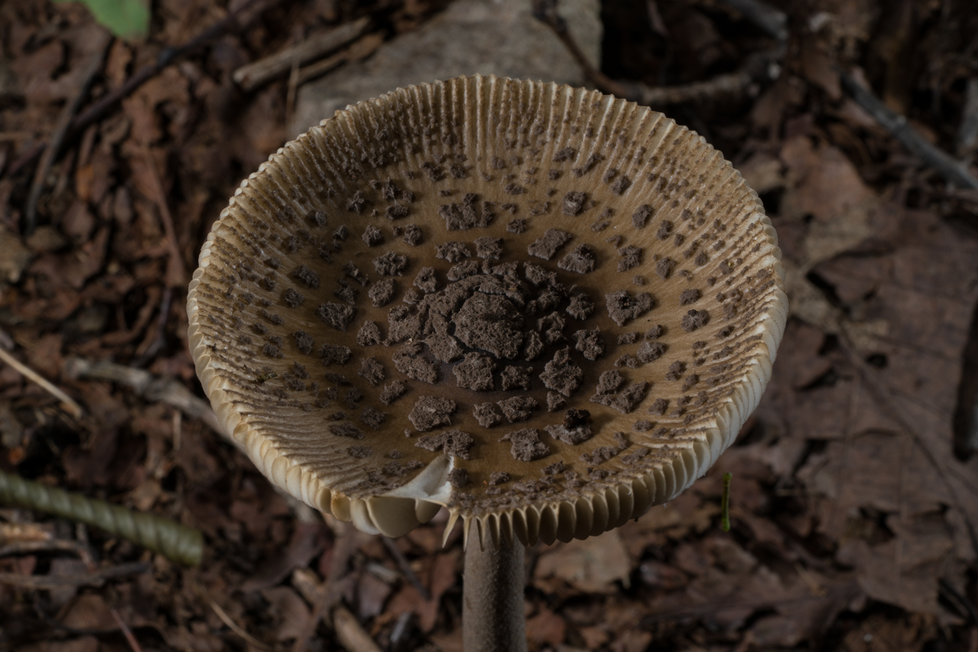 YDY03062.jpg