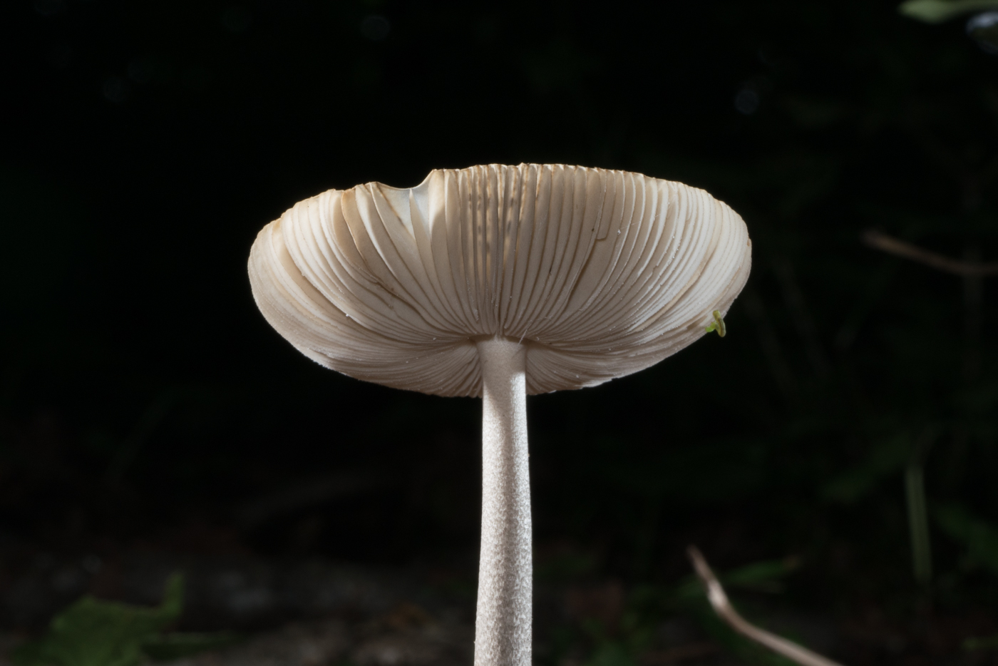 YDY03067.jpg