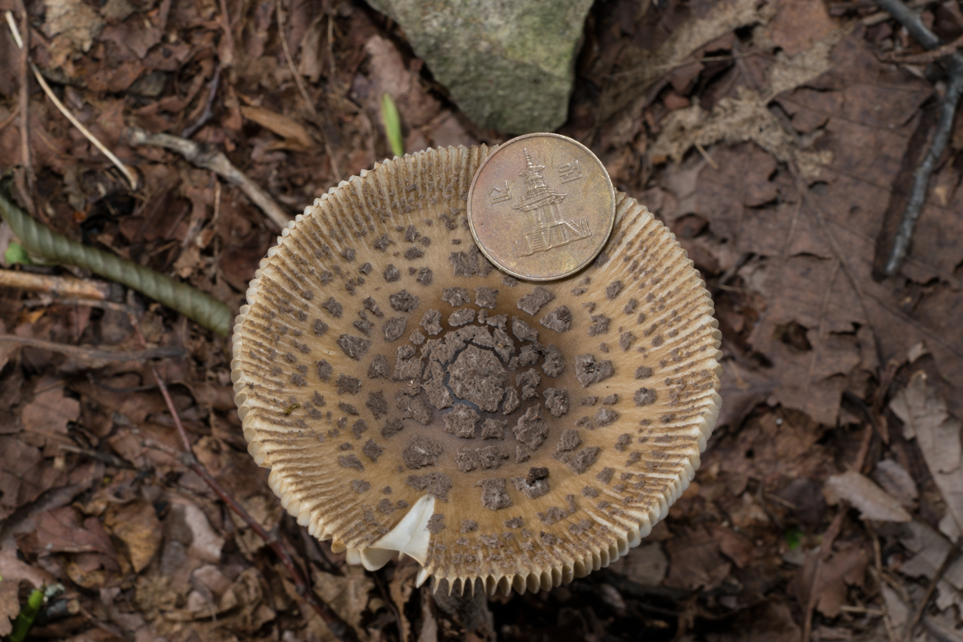 YDY03072.jpg
