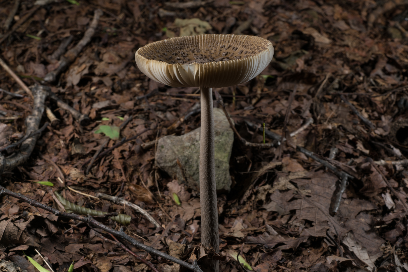 YDY03058.jpg