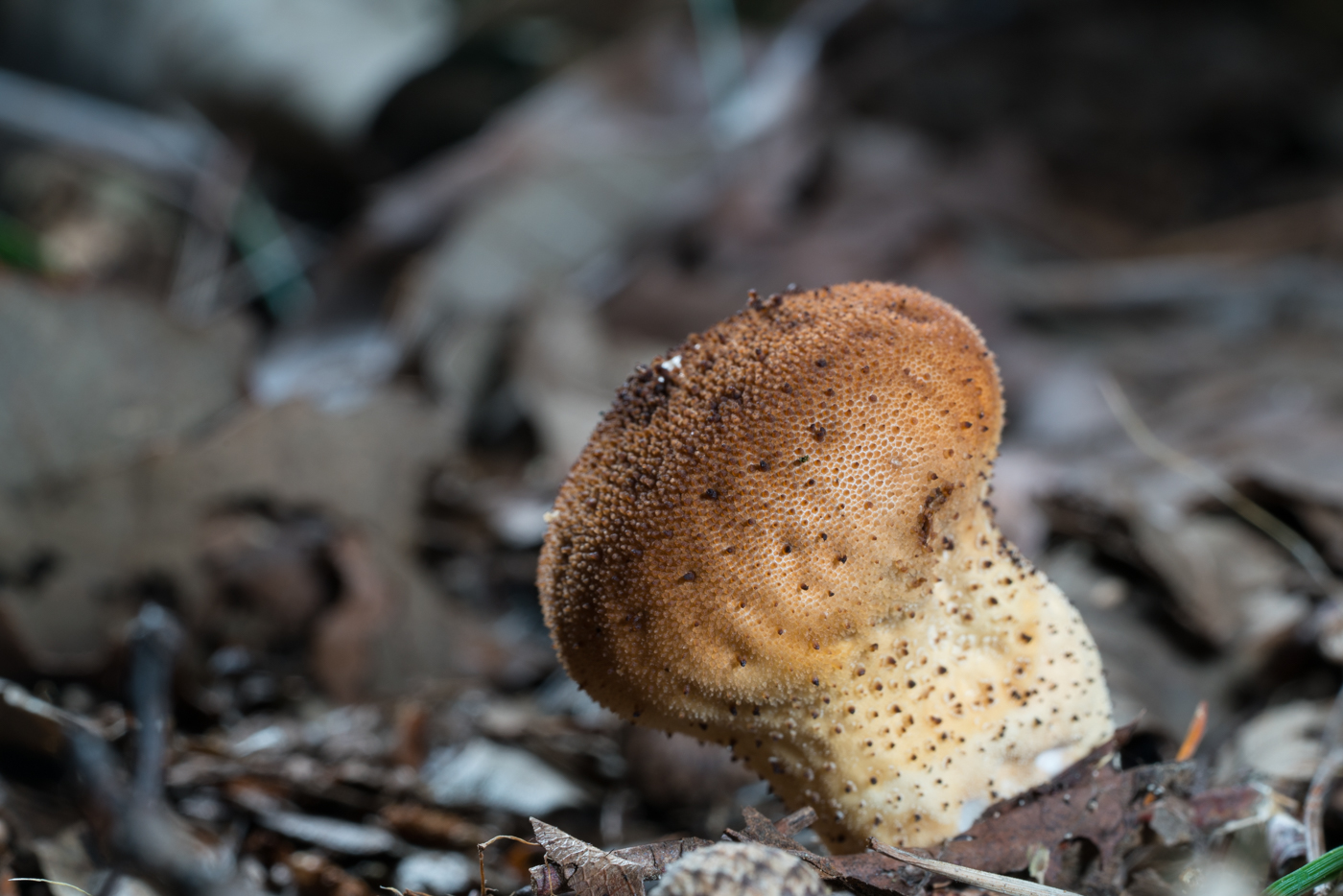 YDY05629.jpg