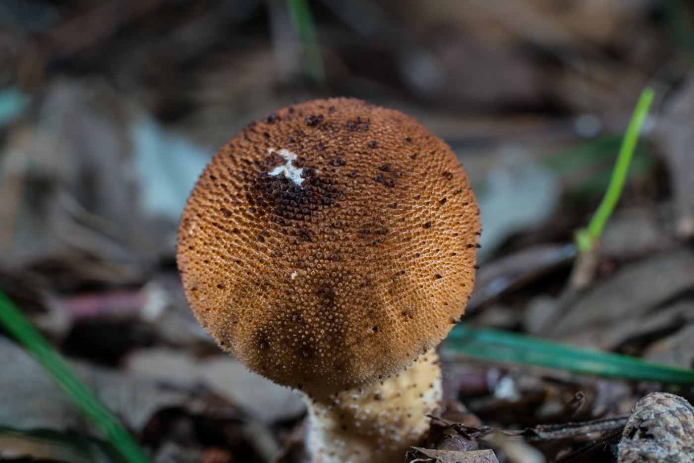 YDY05631.jpg