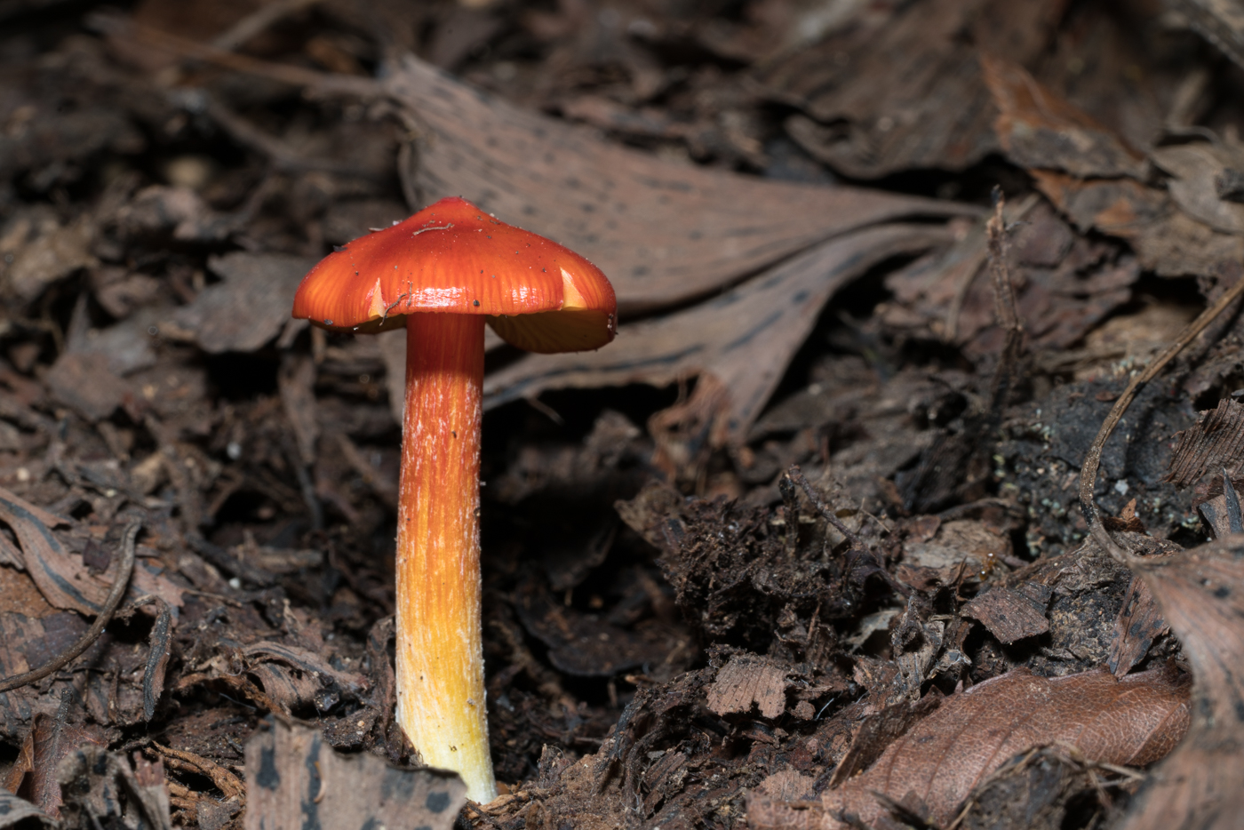 YDY03087.jpg