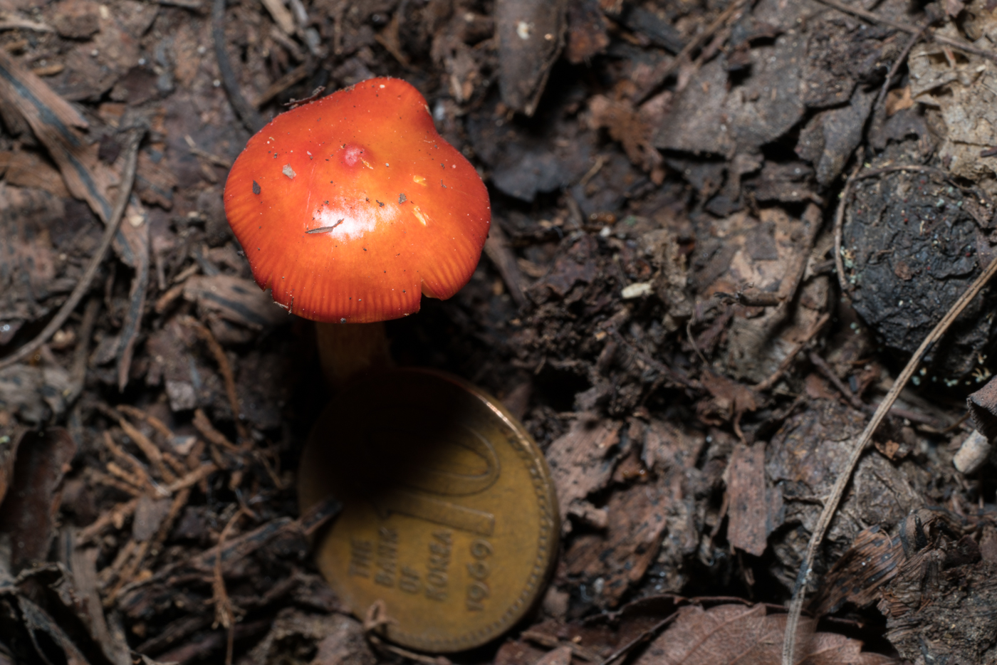 YDY03090.jpg