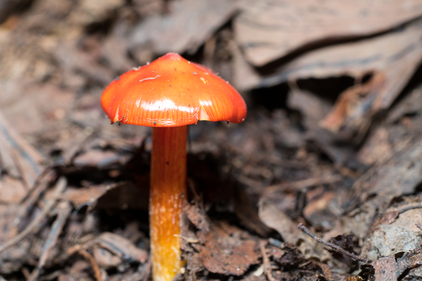 YDY03081.jpg
