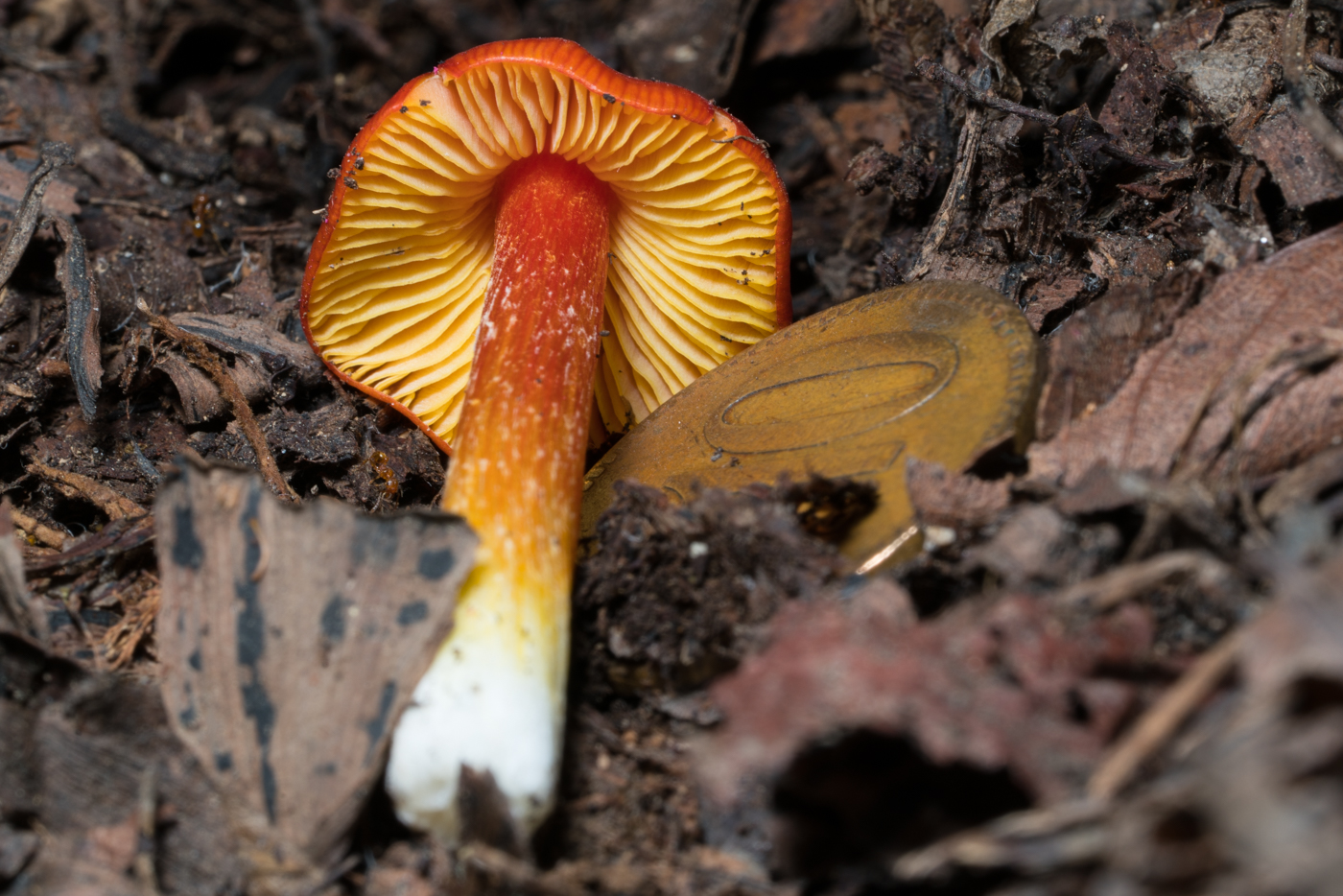 YDY03091.jpg