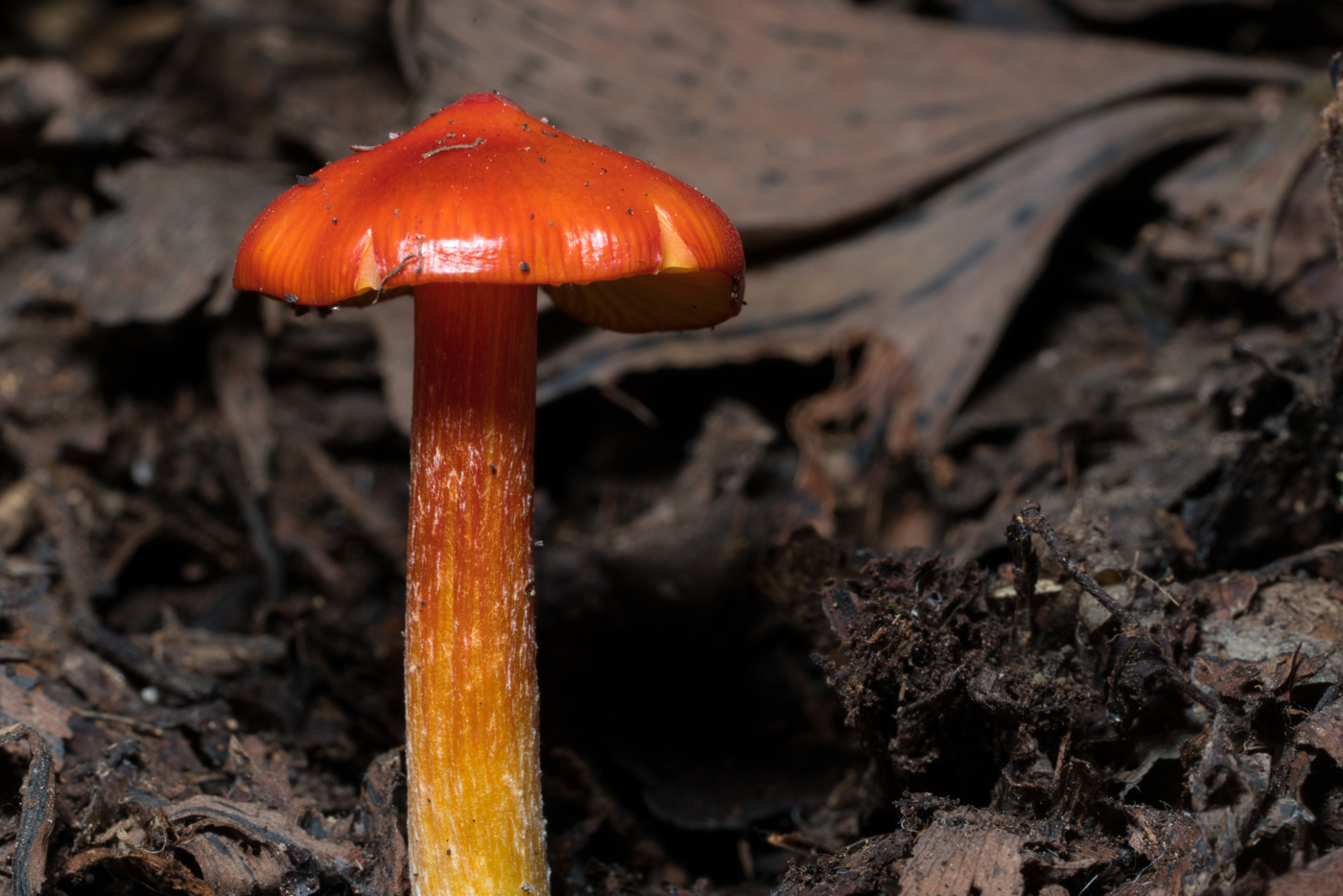 YDY03085.jpg