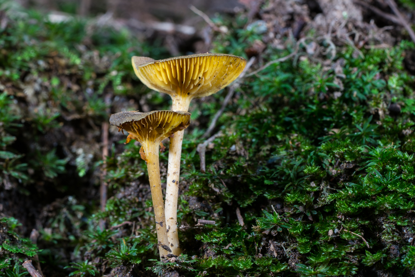 YDY05637.jpg