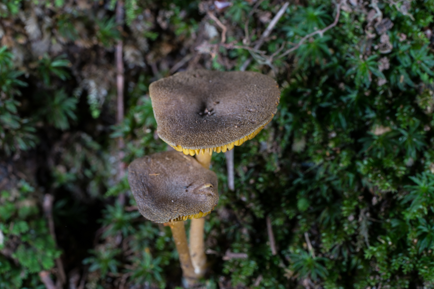 YDY05634.jpg