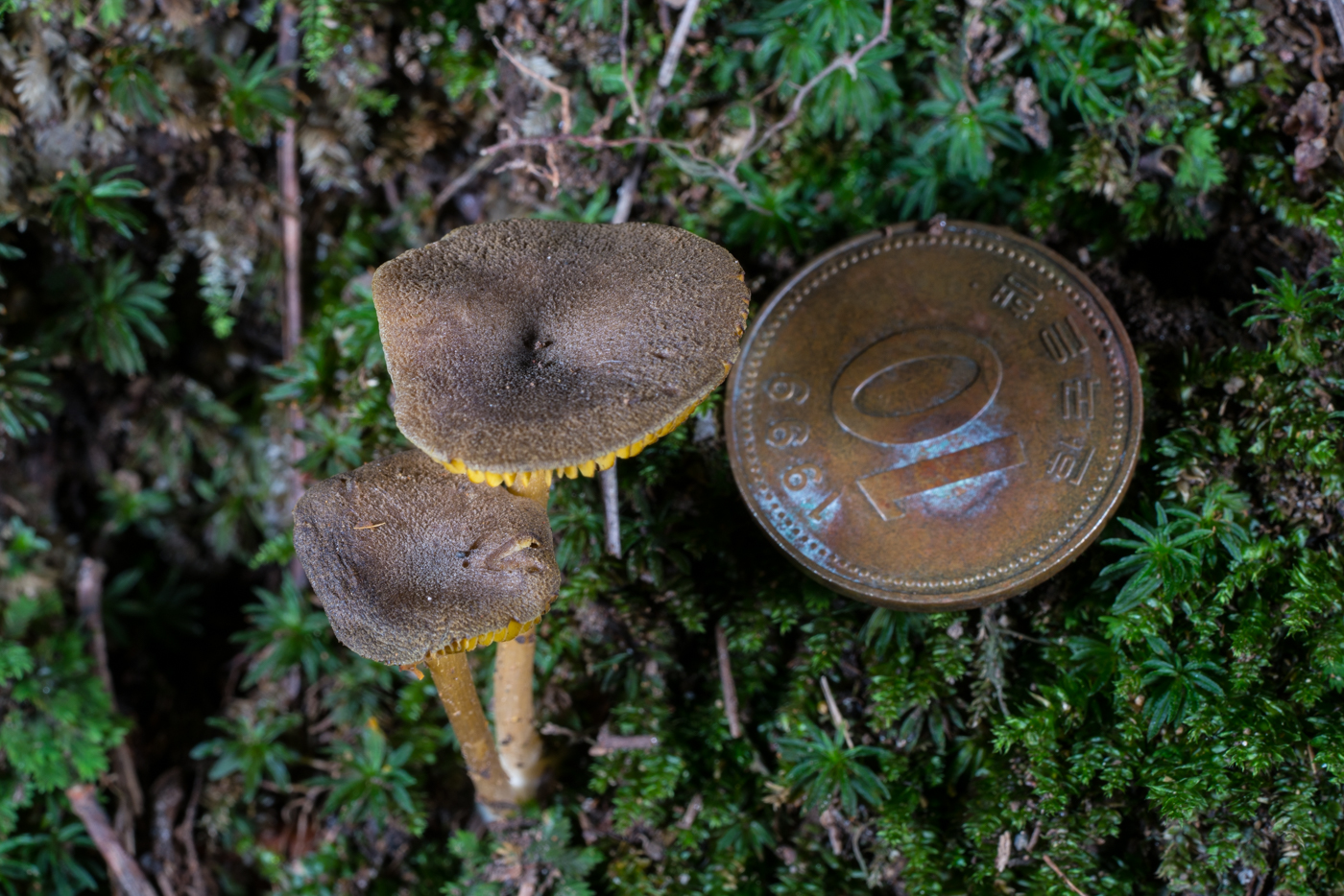 YDY05638.jpg